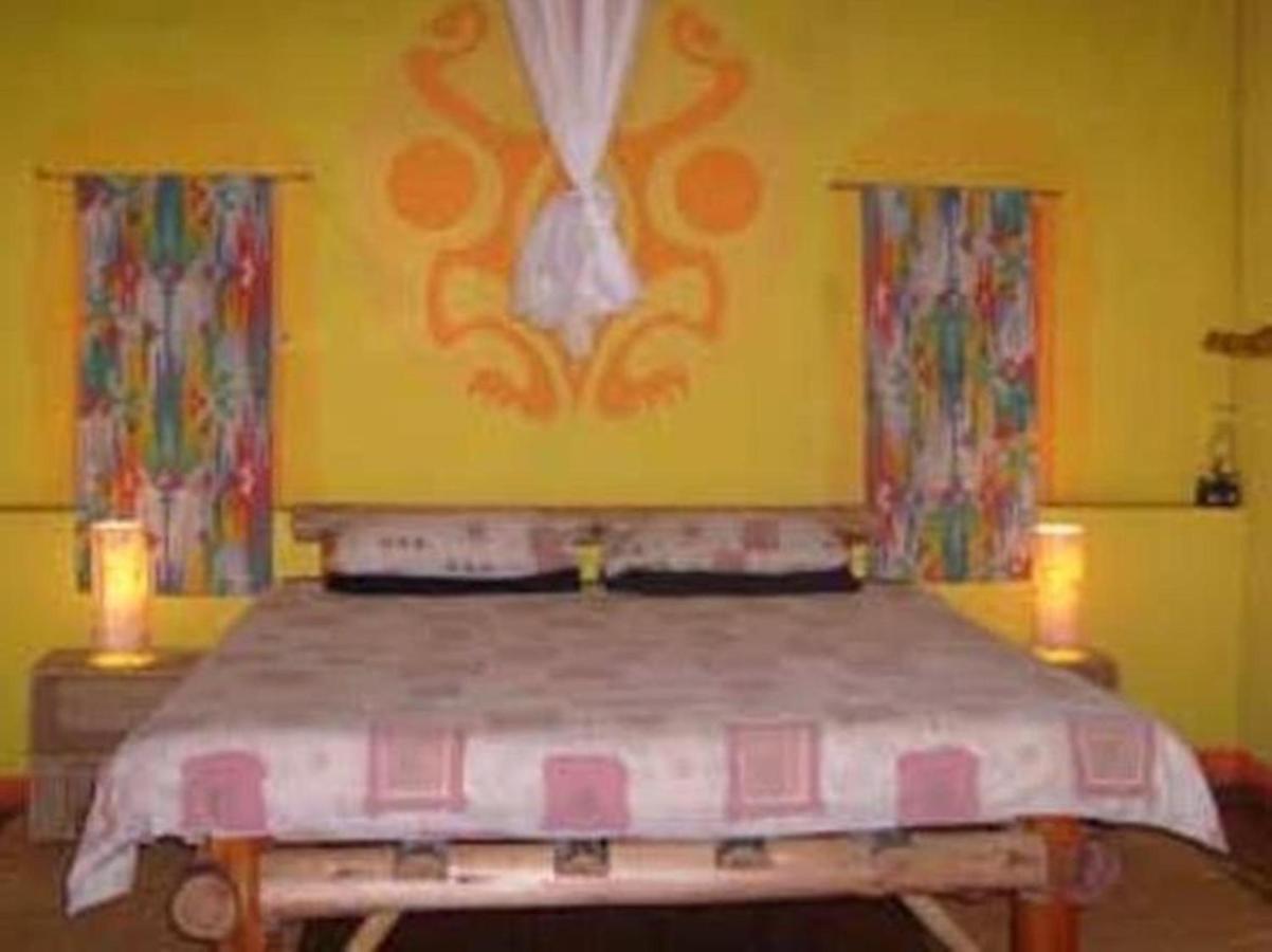 Amapondo Backpacker Lodge Port Saint John's Экстерьер фото